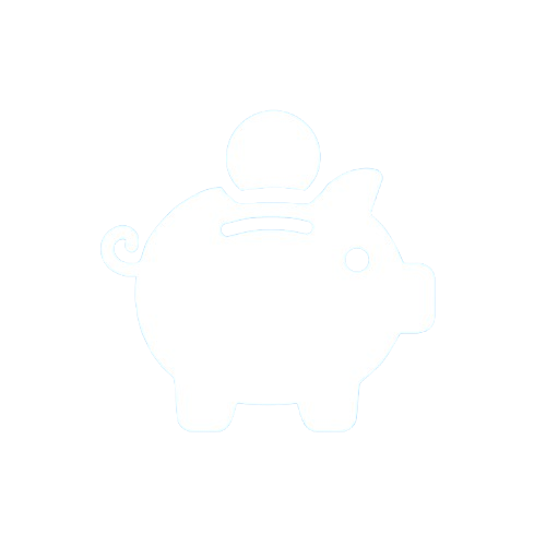 Money Icon